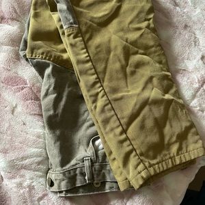 Hunting brush and briar